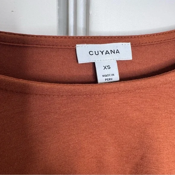 Cuyana Rust Puff Sleeve Tee - Picture 5 of 6
